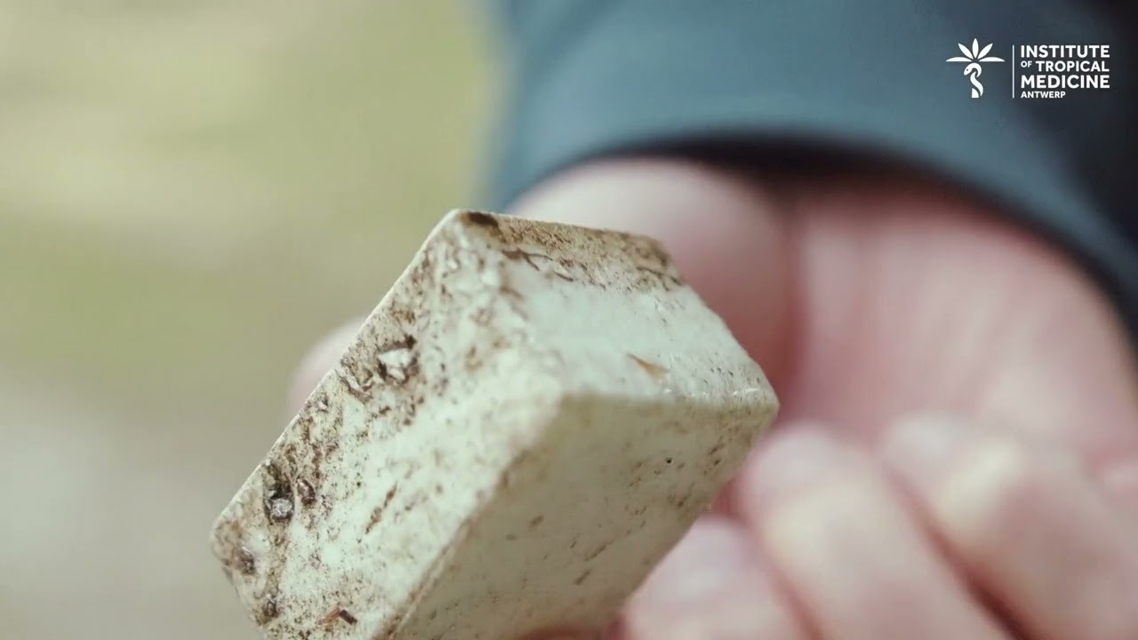 Staalname van eitjes van exotische muggen met de eilegval