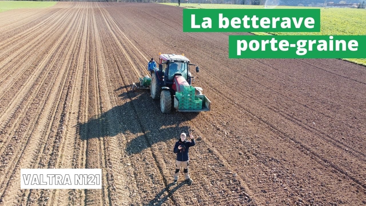 VLOG : plantation de la betterave semence