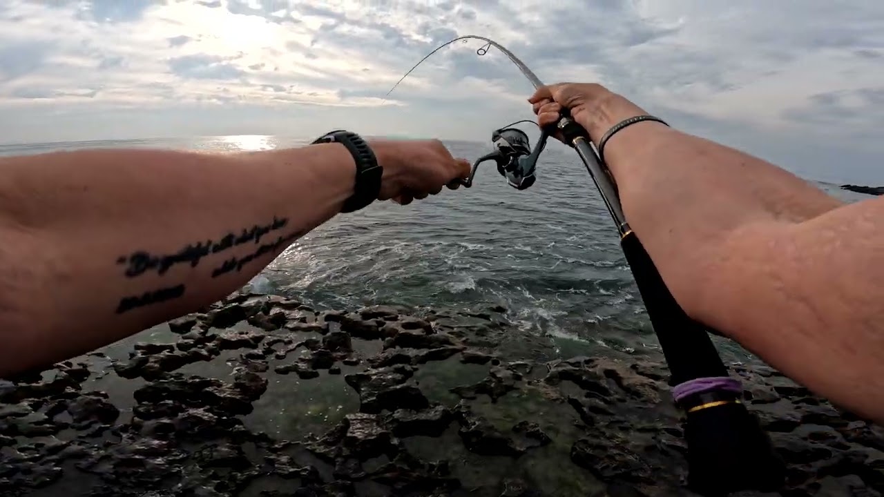 Major Craft Flatrek 5G FR5-1082MH so far + bonus catch on top water :)