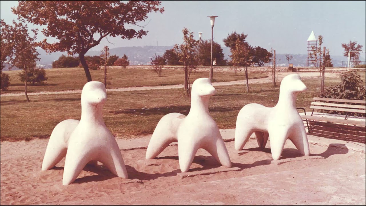 hálózatos experimental
