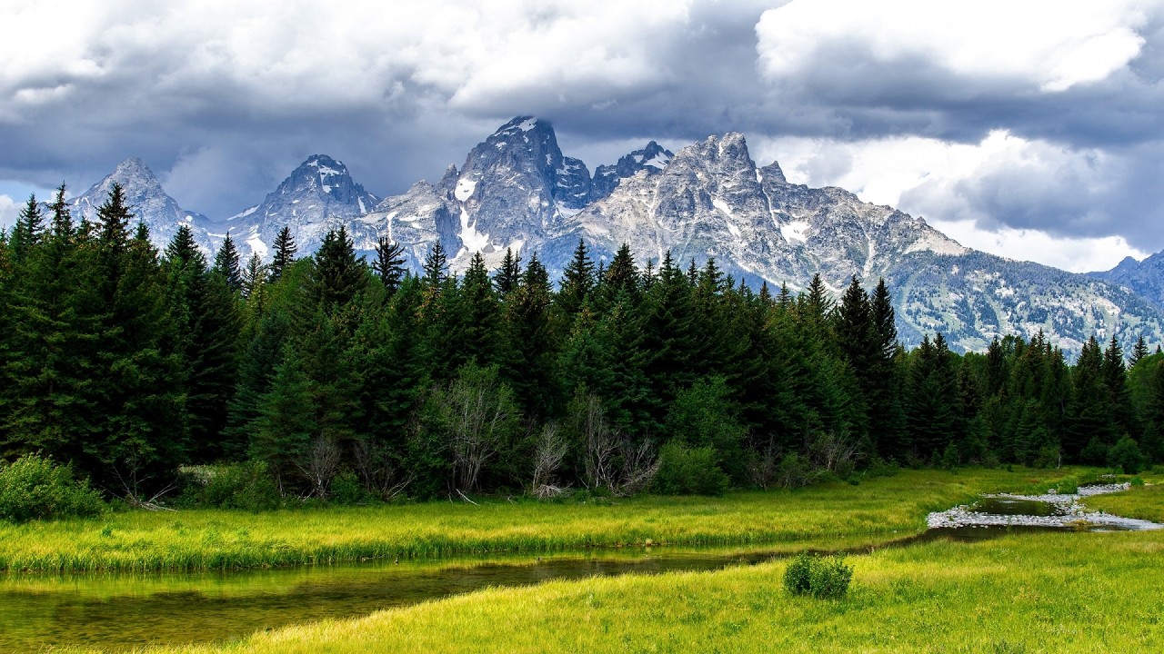 4K Forests and Meadows - Beautiful Nature and Calm Atmosphere