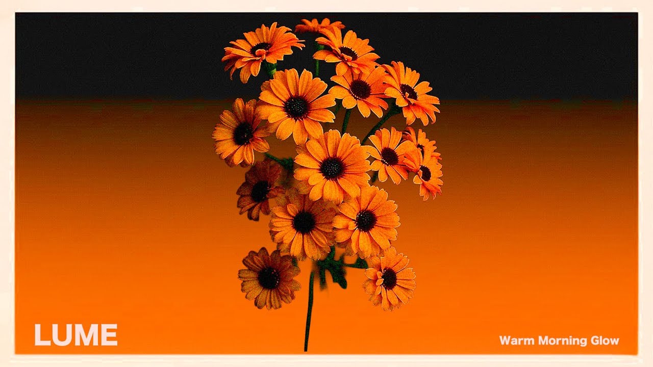 Warm Morning Glow | Chill House for a Positive Morning Vibe