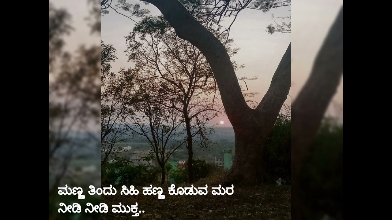 Manna thindu sihi hanna koduva mara ..muktha (ಮುಕ್ತ...ಮುಕ್ತ...)