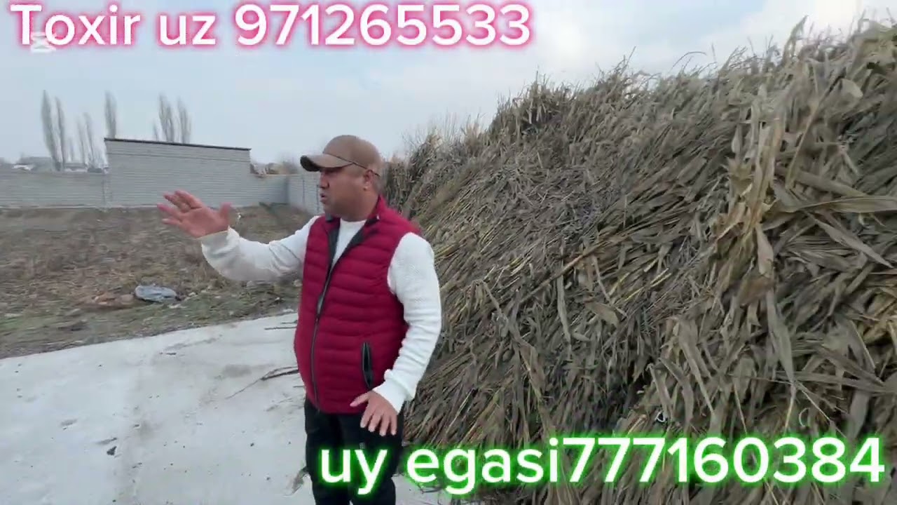 TEZDA ULGURUB QOLING ARZON UY JOY