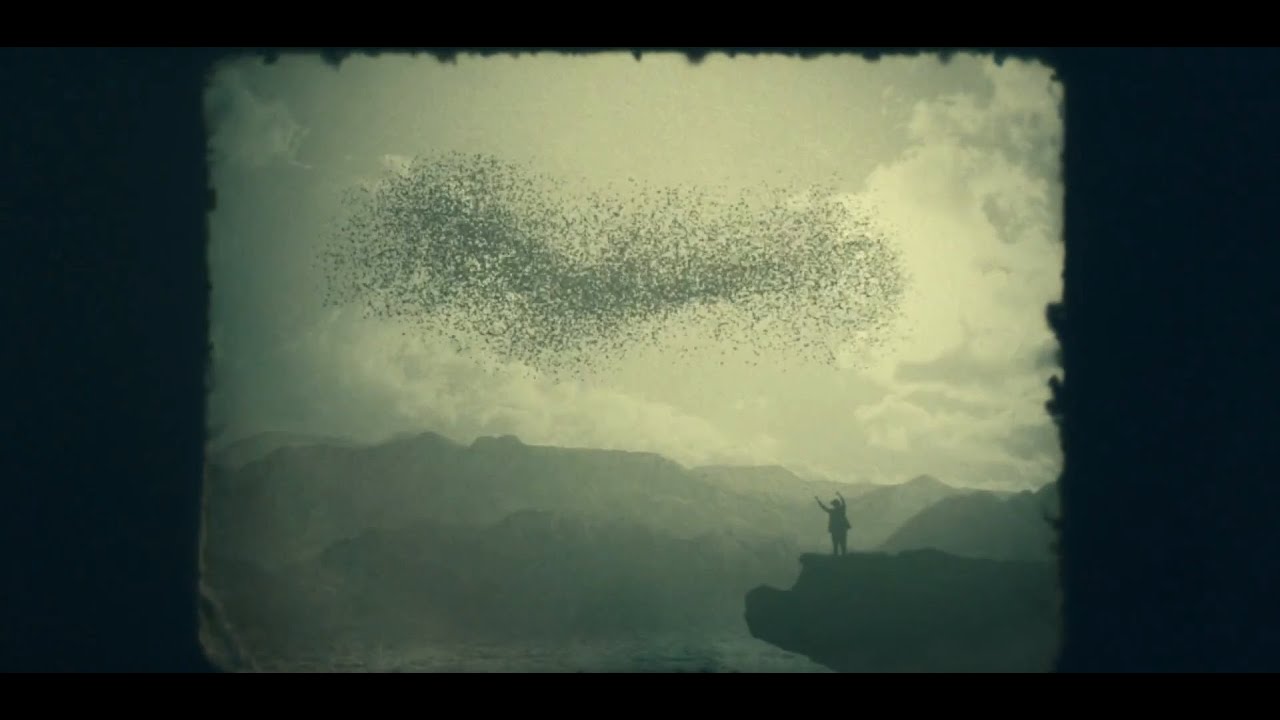 The Lost Symbol - Bird Scene (Episode 3)