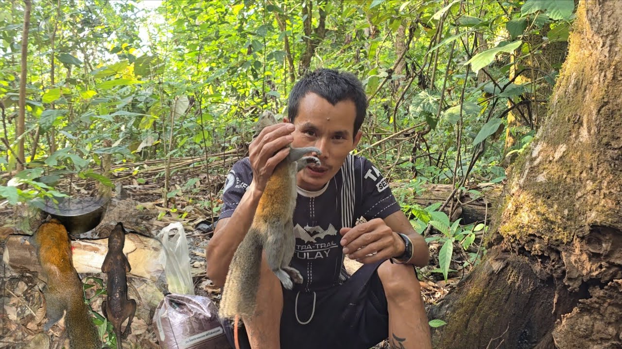 Trapping mice in the deep forest. 23/12/2025