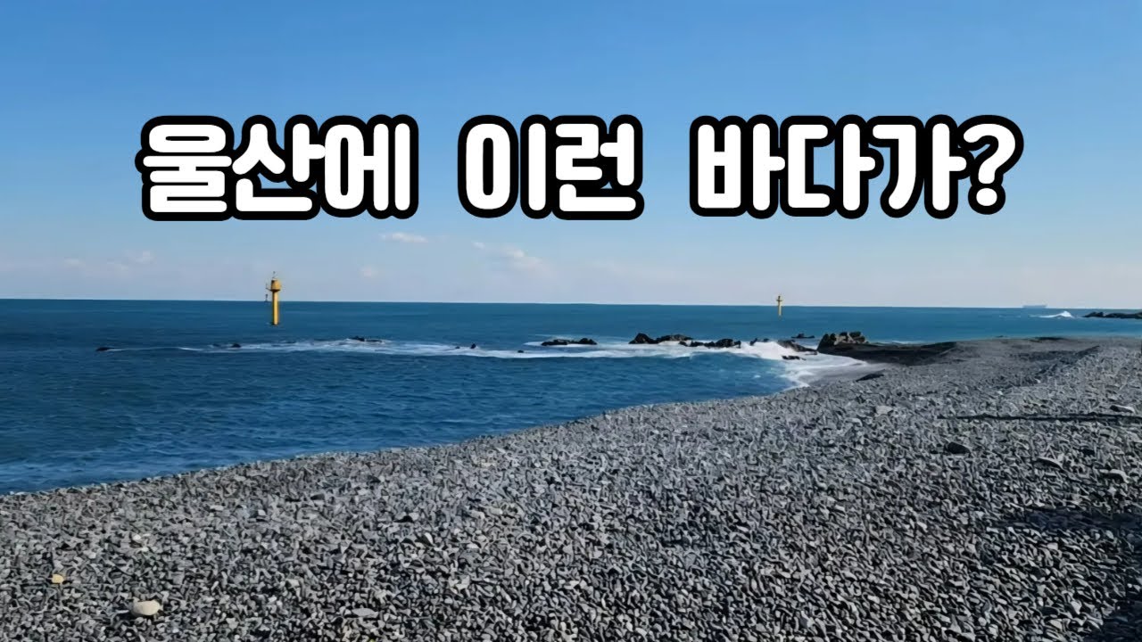 울산 드라이브, 정자항 바다 - 점심은 생선구이