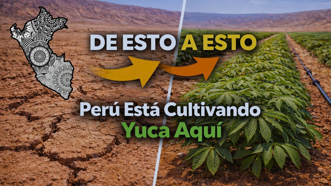 Perú Hiso lo Que Parecía Imposible con sus Desiertos