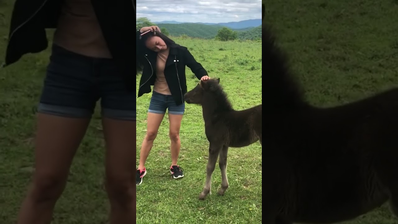 Grayson Highlands State Park in Grayson County, VA