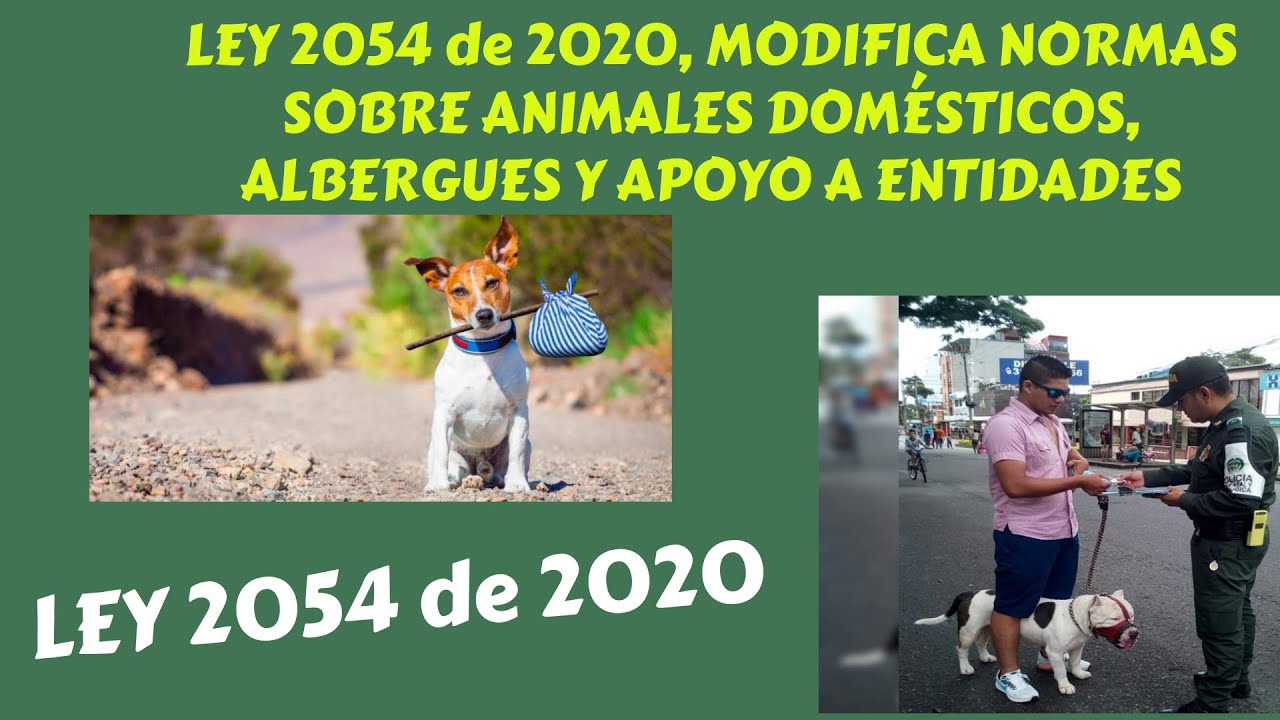 LEY 2054 DE 2020 PROTECCIÓN ANIMAL - concurso de ascenso