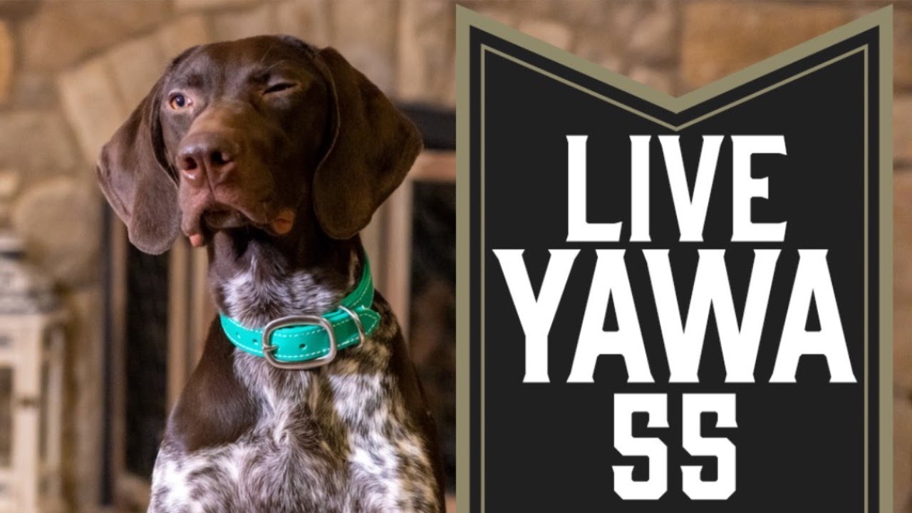 Live YAWA - Dog Training Podcast - Episode 55