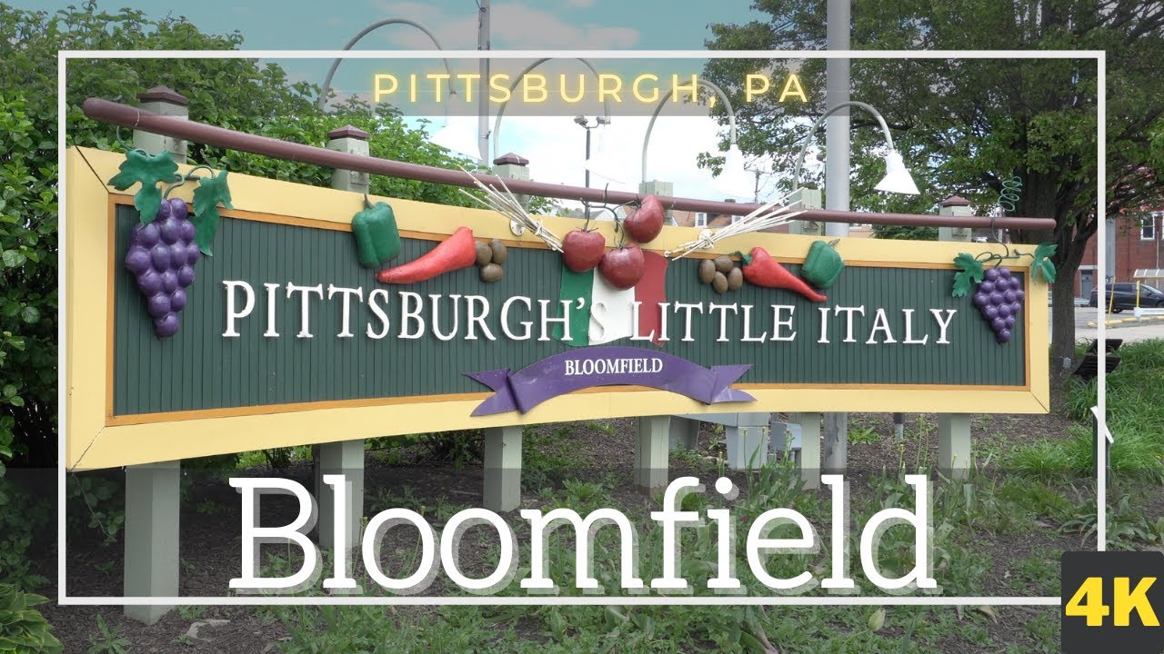 Walking Tour Pittsburgh, PA Bloomfield neighborhood - Liberty Avenue 4K