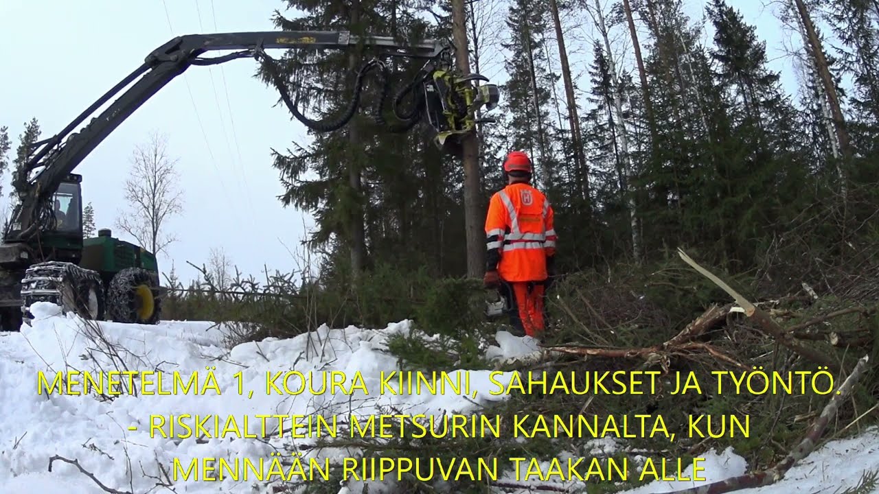 Metsolan Metsäkoulu 265 - Miten puunkaato moton apuna tehdään?