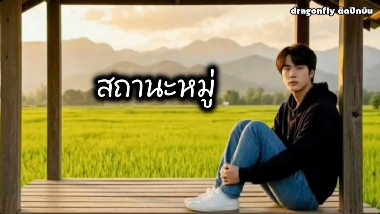 #สถานะหมู่ #dragonflyติดปีกบิน #เพลงเพราะๆ