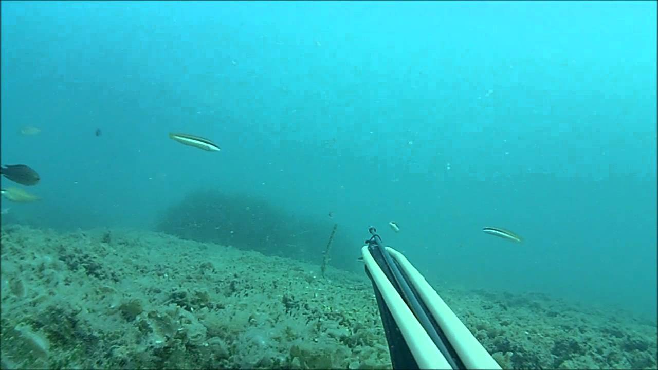 Bella giornata in compagnia di Baldex Sub.