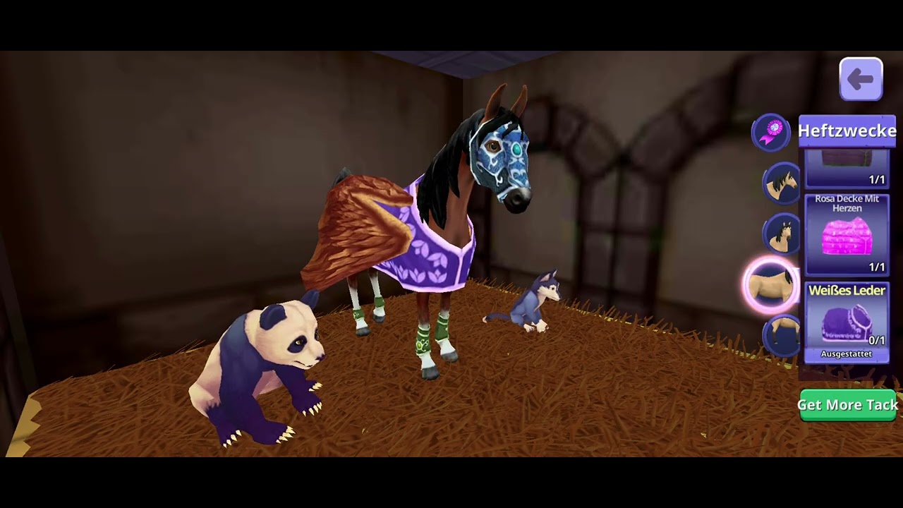 Pferde Sprung reiten mall wieder 