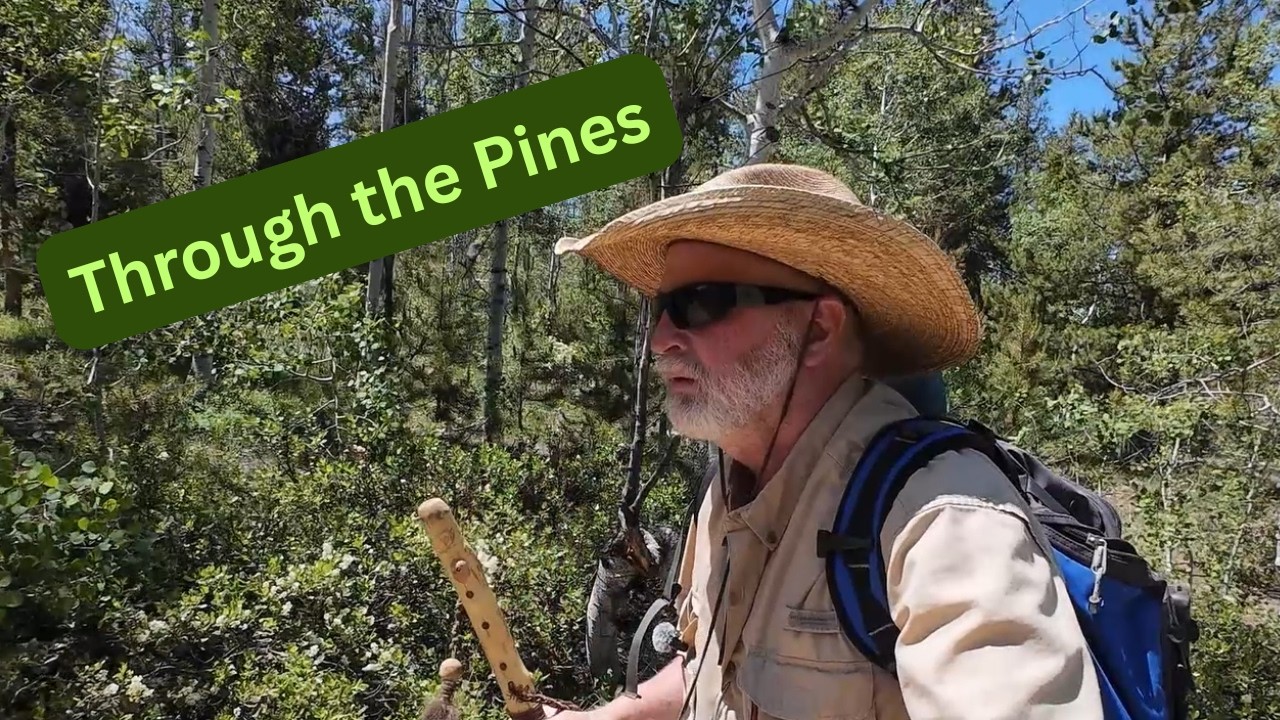 I Found Peace in the Pines :  ASMR Hiking Fishing