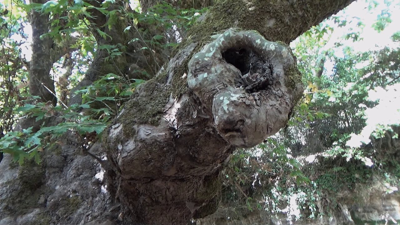 Kréta, Crete 2020 - Tholos tomb Phylaki, Anc. Lappa Necropolis, Argyroupolis, Frangokastello, 3. díl