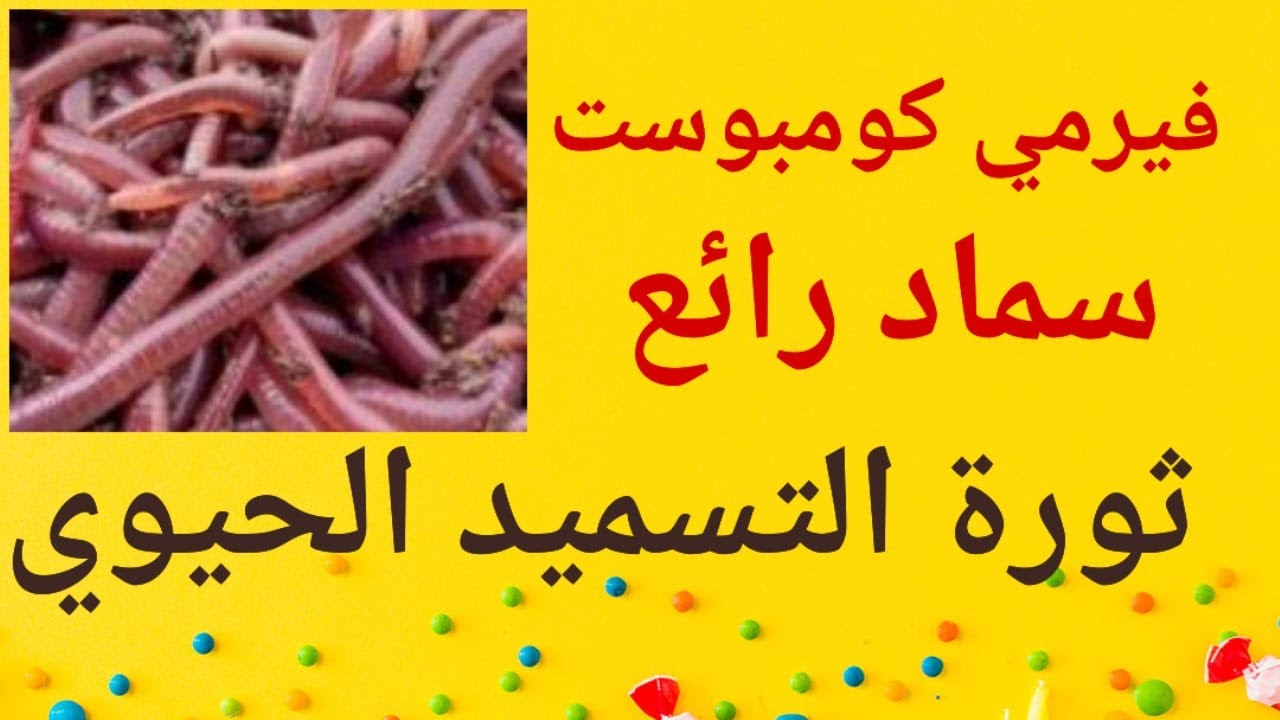 دودة الارض والفيرمي كومبوست سماد قوي 2023