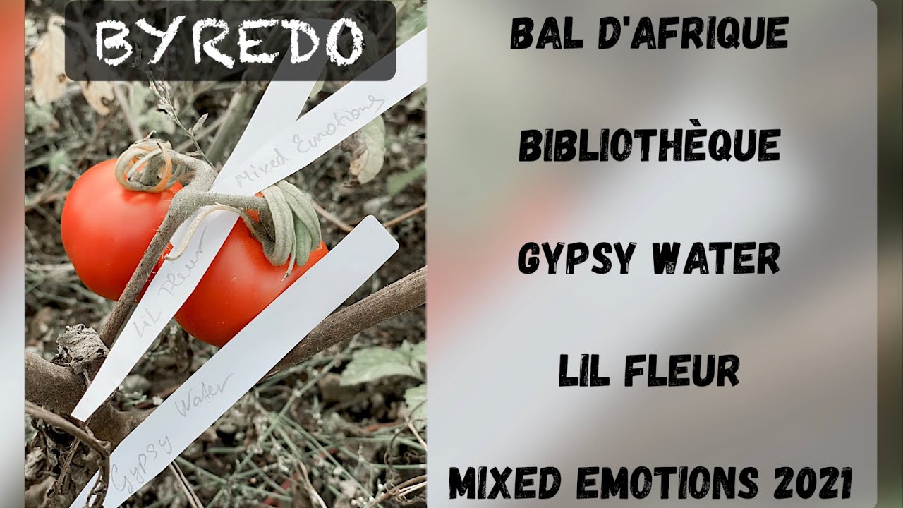 BYREDO Bal d'Afrique | Biblioth&egrave;que | Gypsy Water | Lil Fleur | Mixed Emotions | первые впечатления