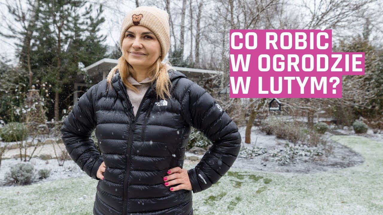 Ogród w lutym. Jakie prace ogrodowe wykonać w lutym? Co siać w lutym?