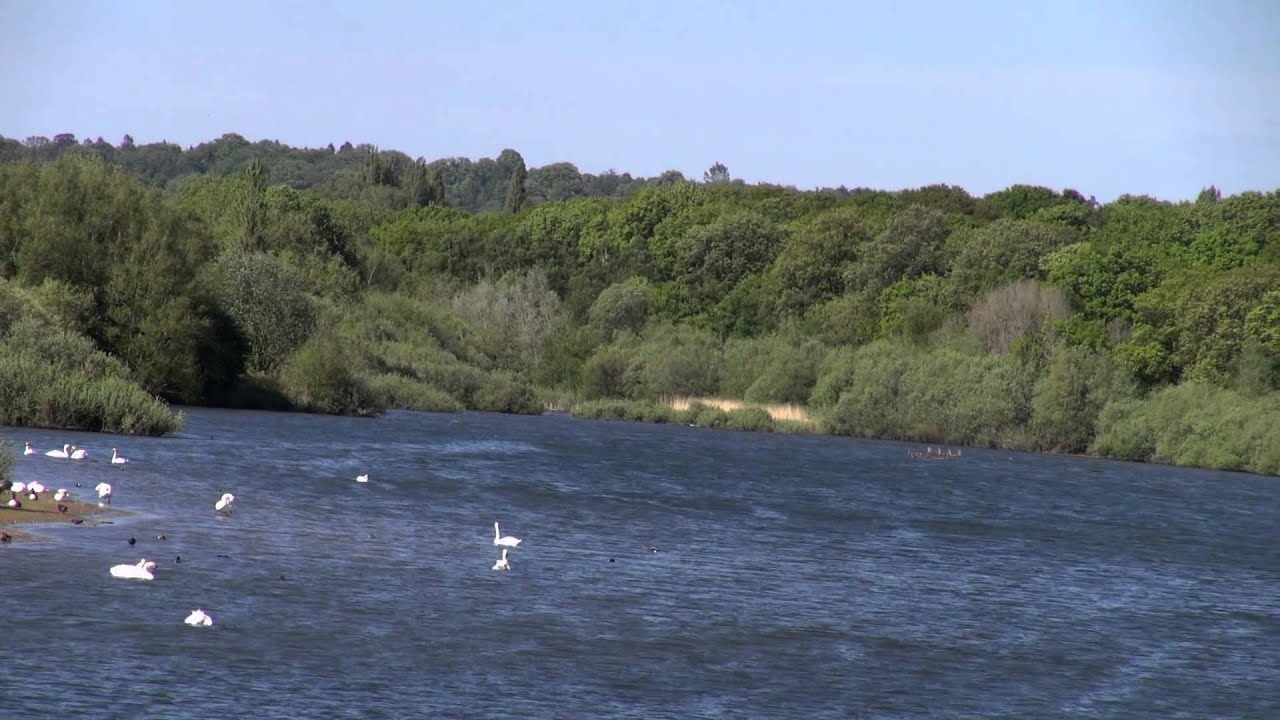 Ruislip Lido Lake