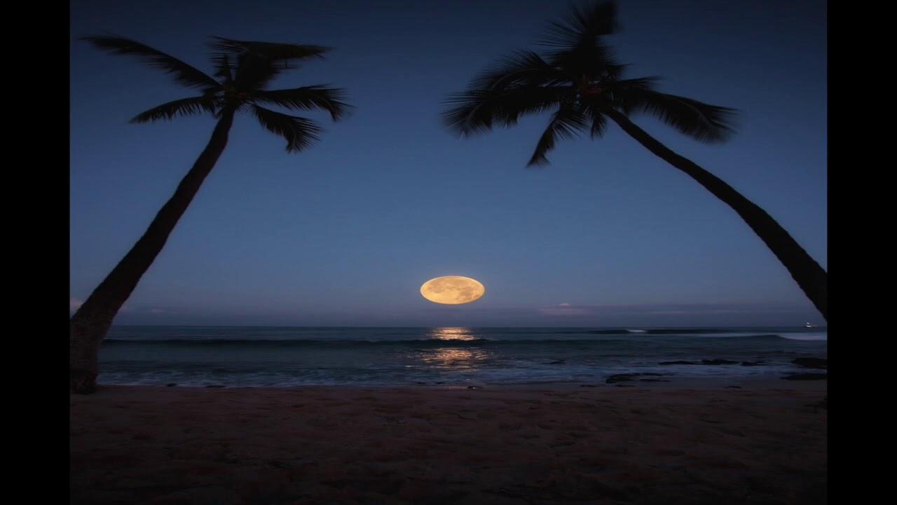 *FREE* Playboi Carti x Young Nudy Type Beat 