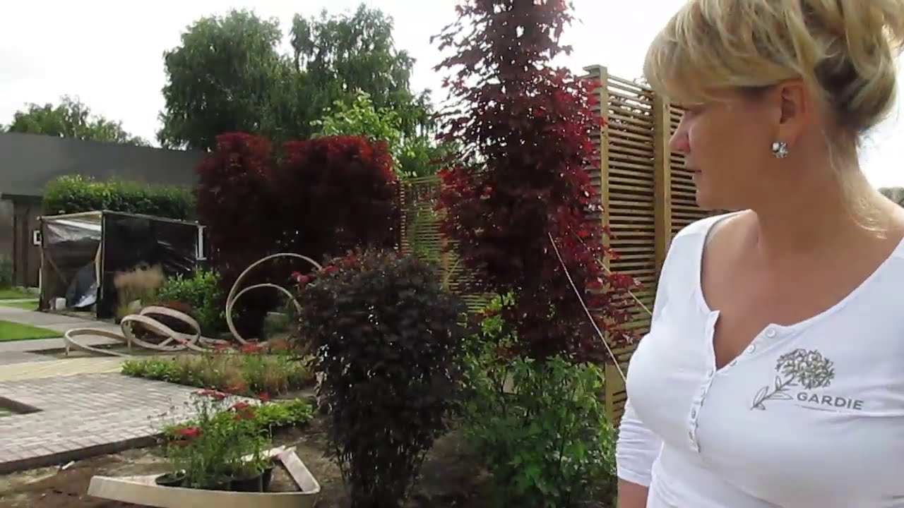 Советы по хвойным от руководителя ландшафтного бюро GARDIE Оксаны Пискарёвой