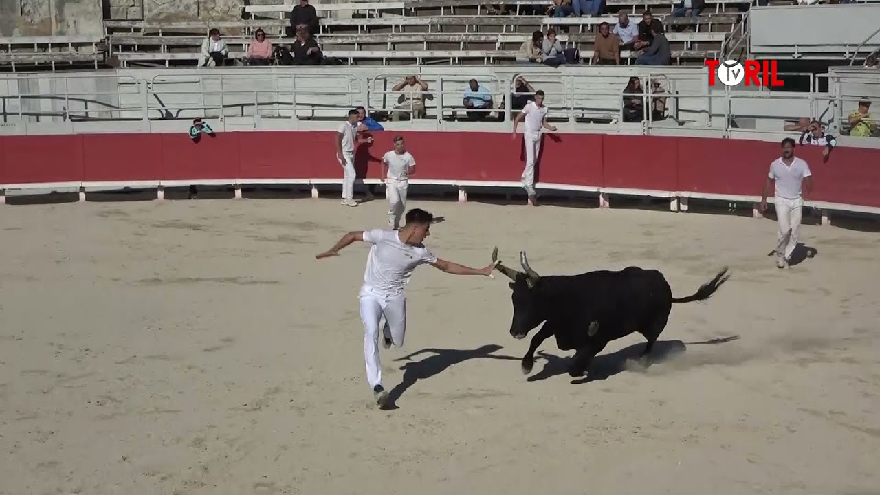 ARLES - Préselection course camarguaise (09/10/2021)