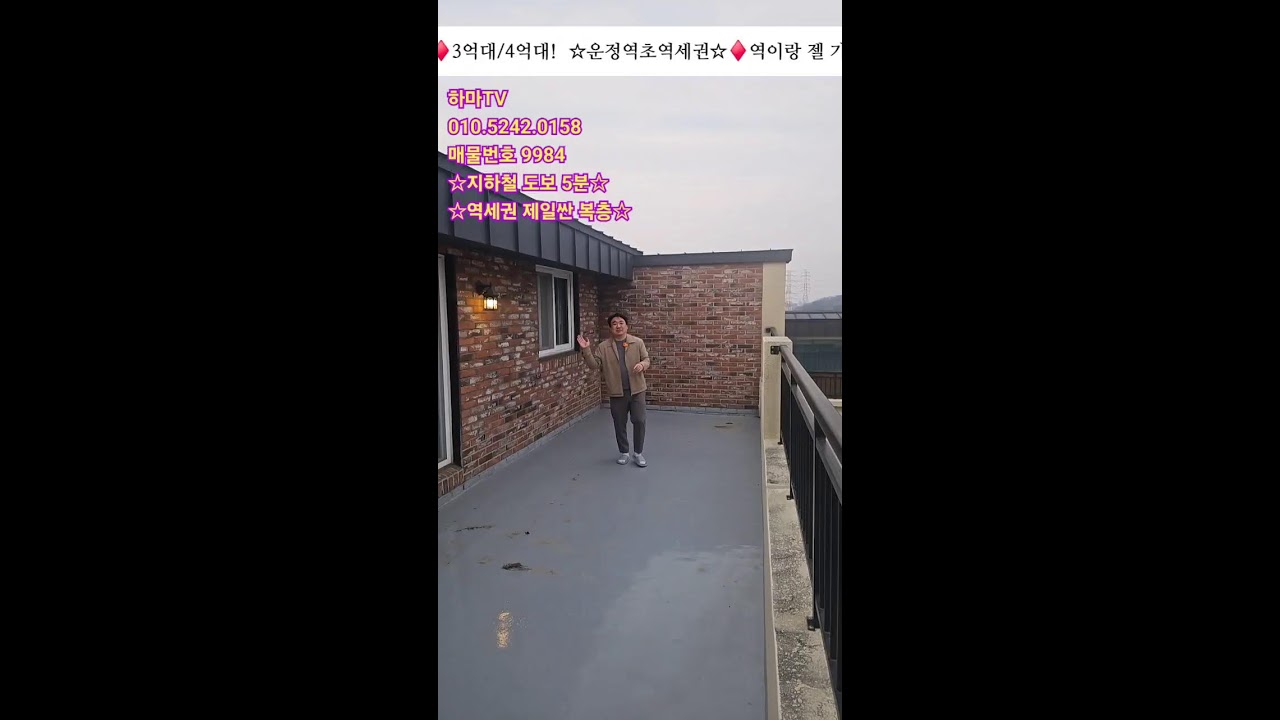 하마TV 집에 대한 모든 정보 라이브 방송
