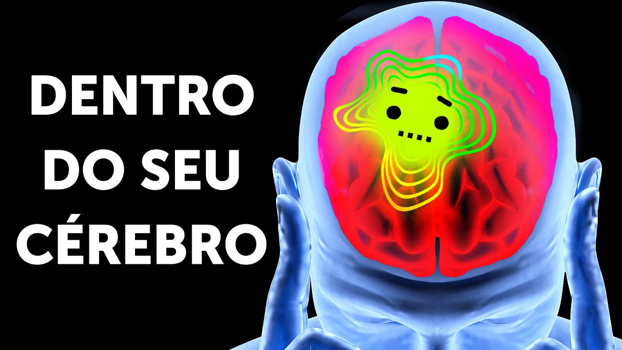 Uma Jornada Dentro Do Seu Cérebro
