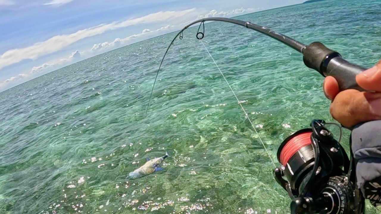 Banyak Sambaran di Spot Andalan | Ultralight Casting
