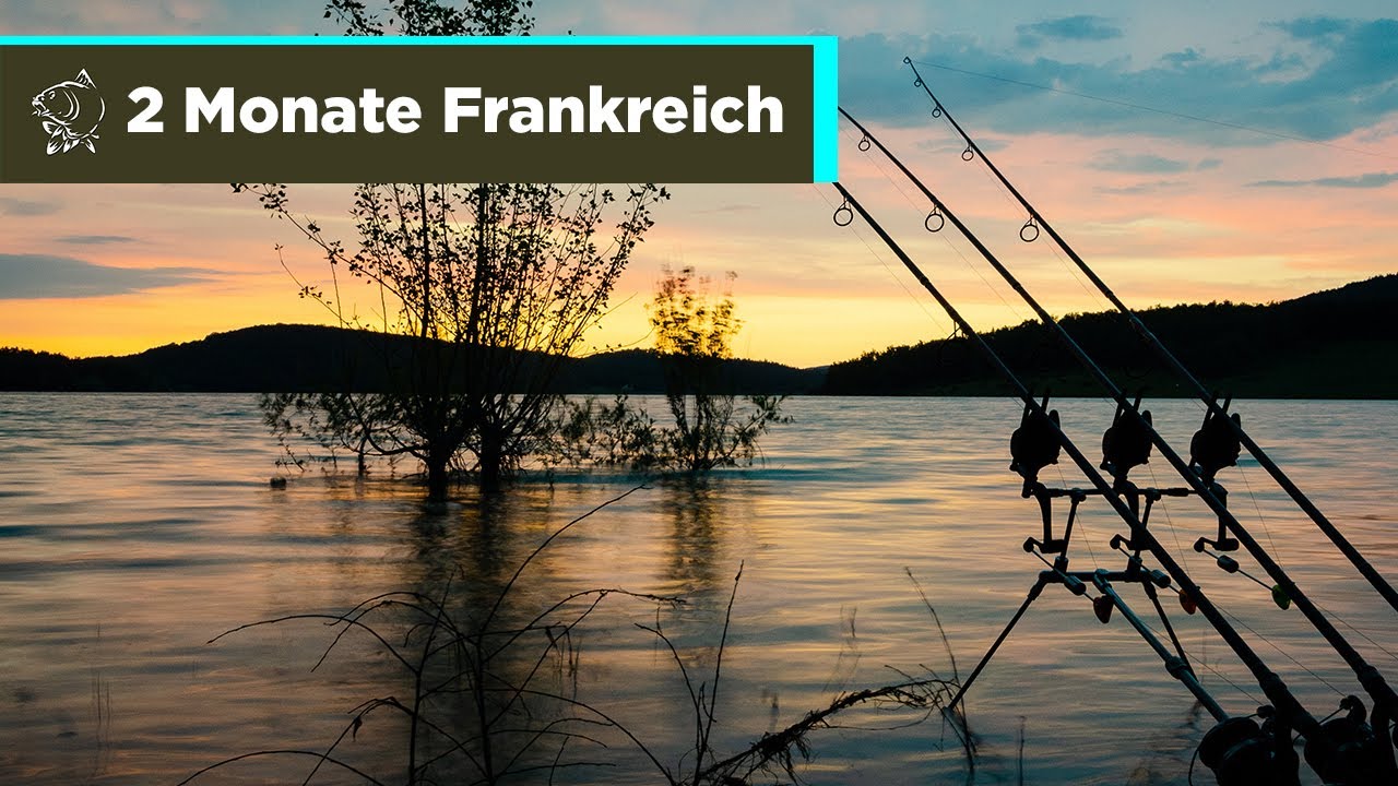 Karpfenangeln - 2 Monate in Frankreich - Zille und Flipper - NASH TV