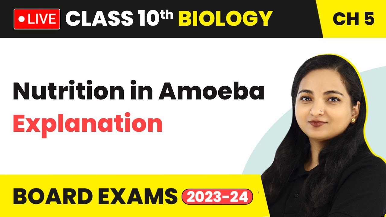 Nutrition in Amoeba - Explanation | Class 10 Biology Chapter 5 (LIVE) 2023-24