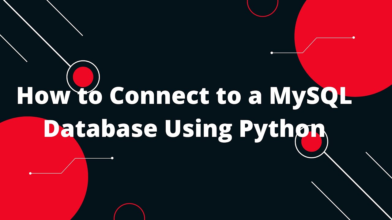 Python for Beginners #13: How to Connect to a MySQL Database Using Python! 🗄️✨