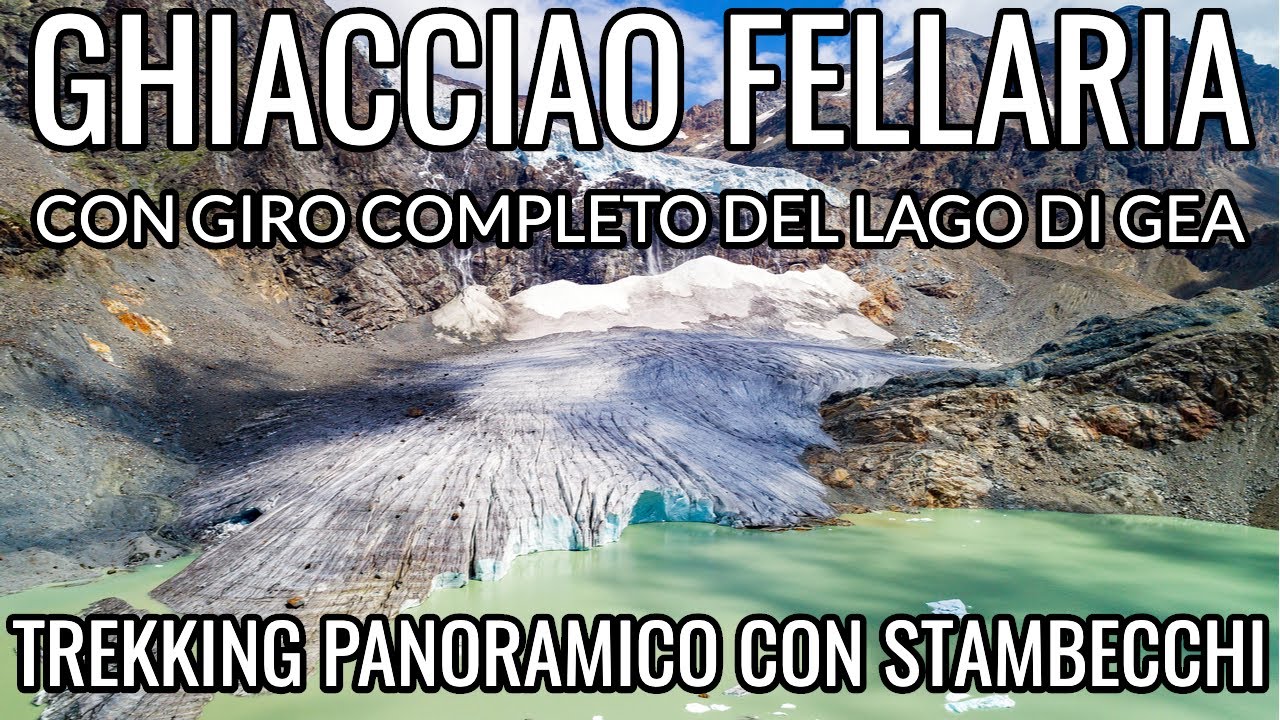 GHIACCIAIO FELLARIA CON GIRO COMPLETO DEL LAGO DI GEA - TREKKING PANORAMICO CON STAMBECCHI