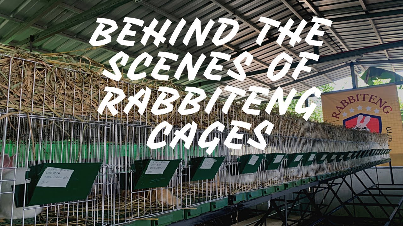 NEWEST DESIGN | RabbiTeng Galvanized Commercial Cages | Behind The Scenes