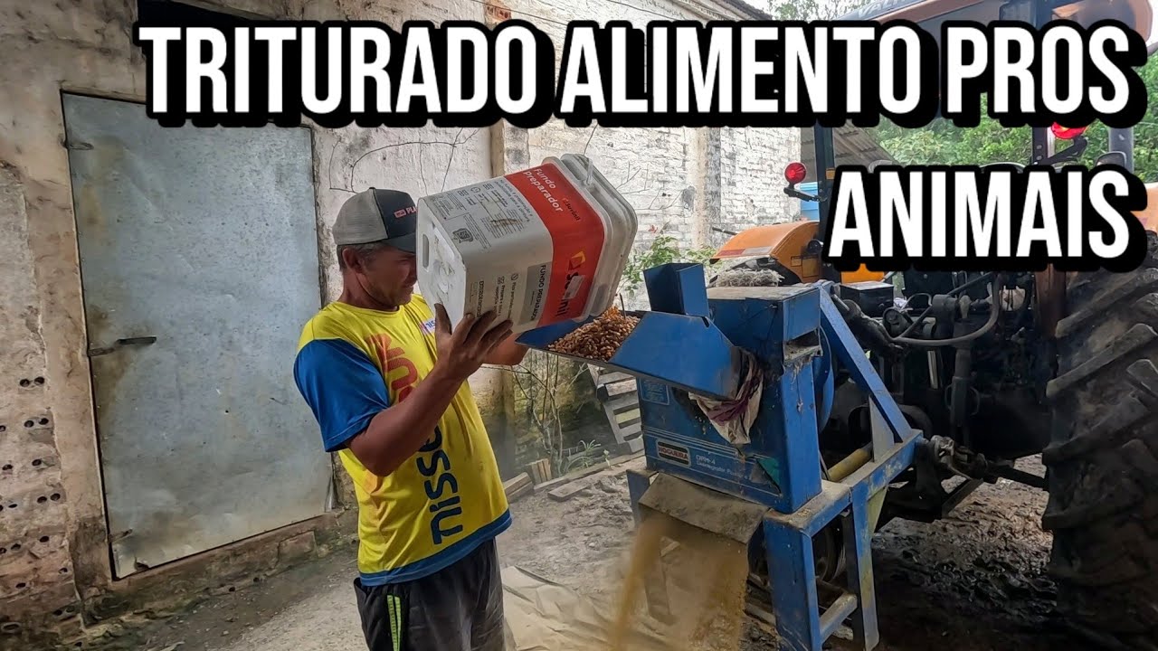 TRITURANDO MILHO COM TRITURADOR NOGUEIRA DPM4