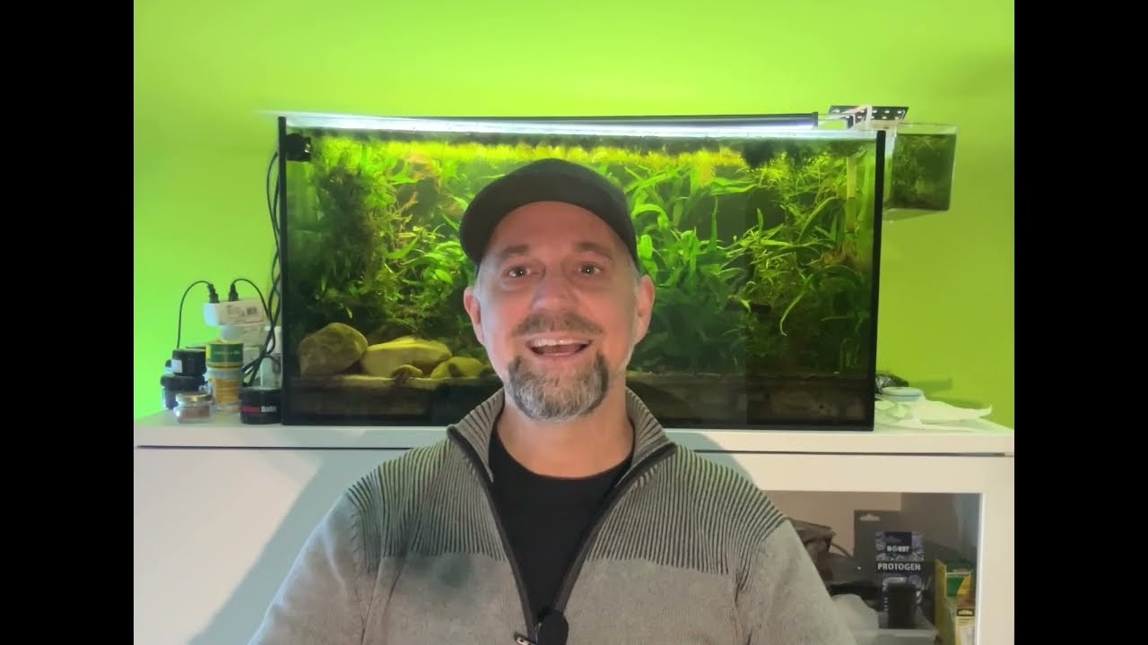 Wie lange leben Artemia im Süßwasser? - Ein Versuch reuploaded #artemia