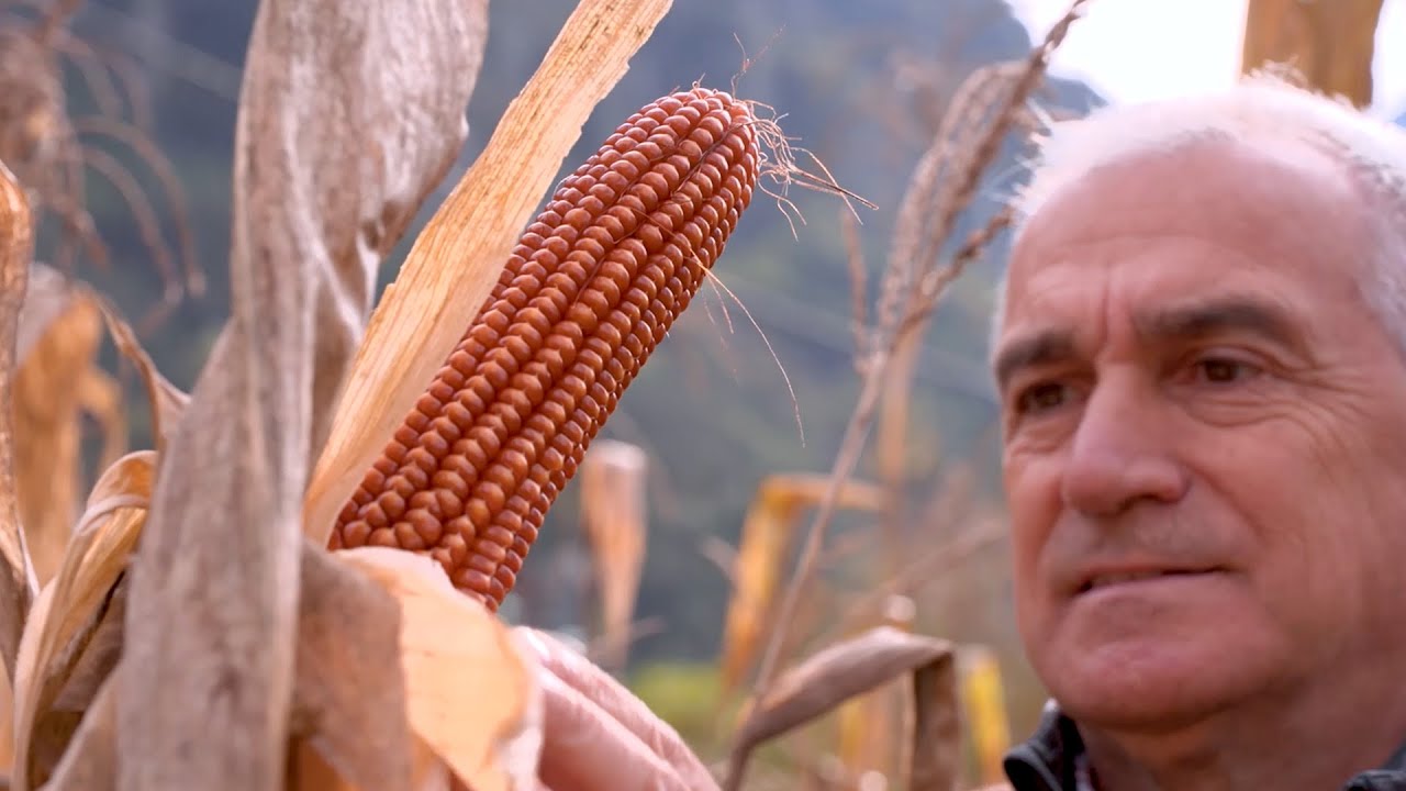 VALLE DEL CHIESE: DOVE L'AGRICOLTURA È UN BENE COMUNE