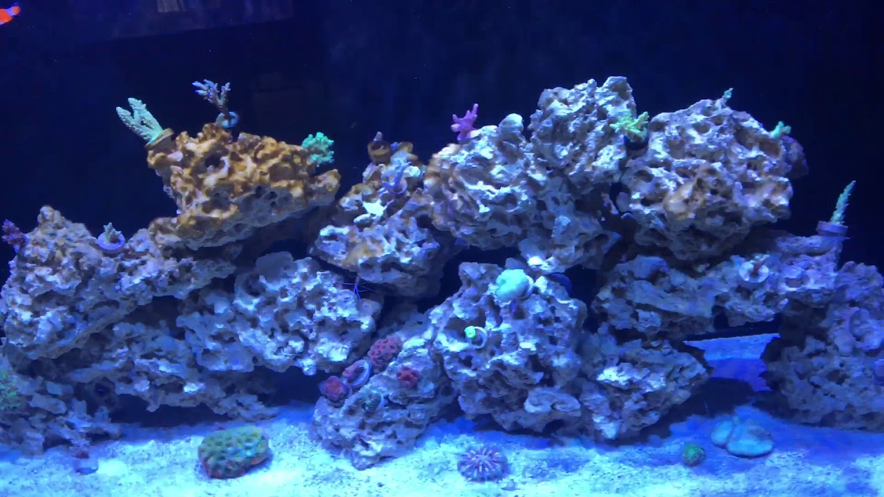 Red Sea trace colors