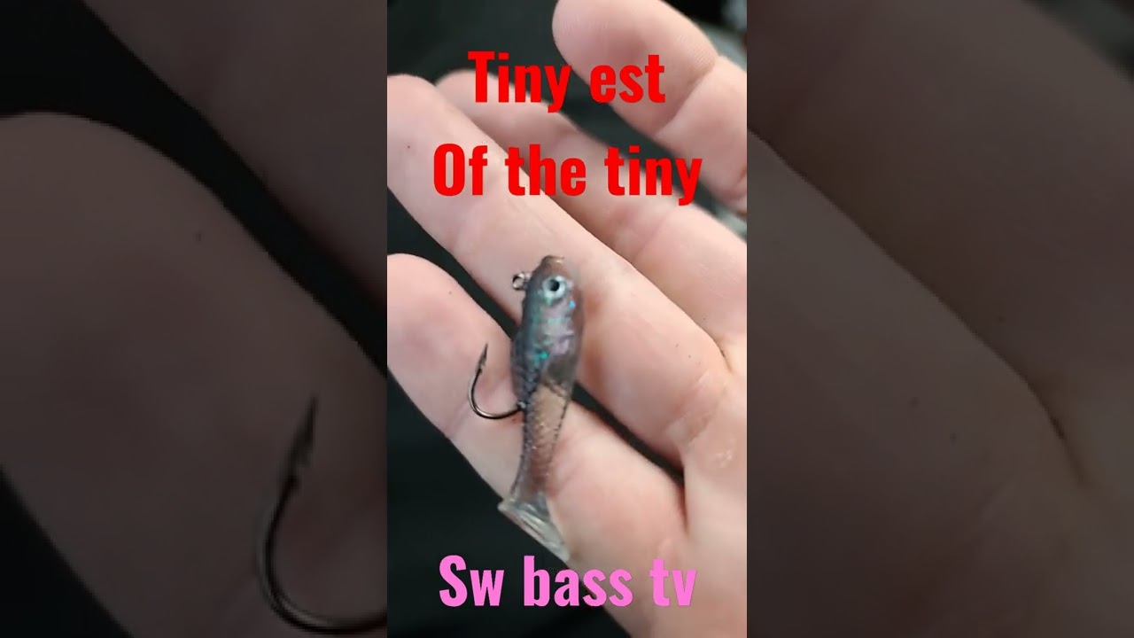 tiny shad micro ultralight bass baits small jigs and lures artificial baits