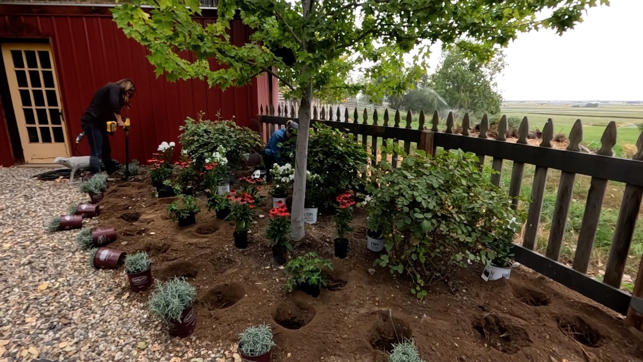 Разбиваю клумбы в деревенском стиле в саду моих родителей! 🌿🌼🍃 // Garden Answer