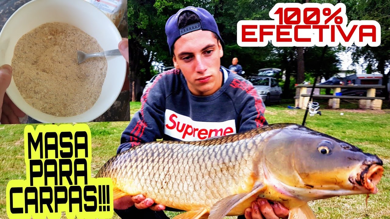 #coronavirus2020  💥COMO HACER MASA PARA PESCAR CARPAS EN INVIERNO? 💯EFECTIVA