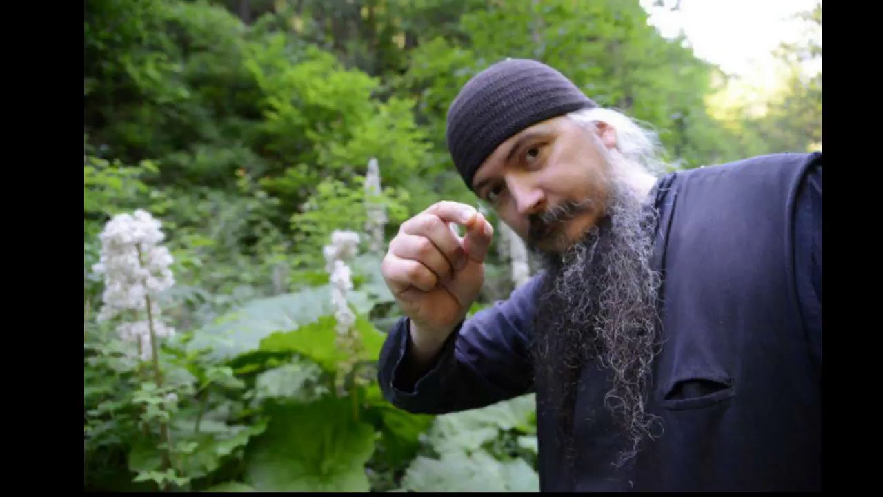 CE ESTE PECETEA, 666 ȘI CINE ESTE FIARA? Părintele Filoteu