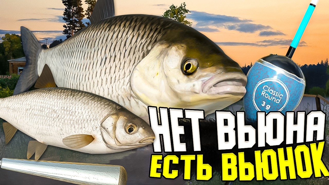 🔥СПОКОЙНЫЙ ВЬЮНОК РУССКАЯ РЫБАЛКА 4 #рыбалка #РусскаяРыбалка #Fishing