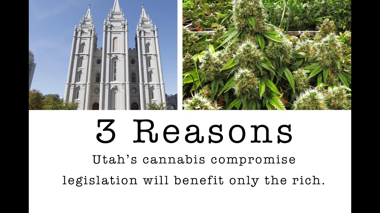 Medical Cannabis in Utah vs. LDS Church Power