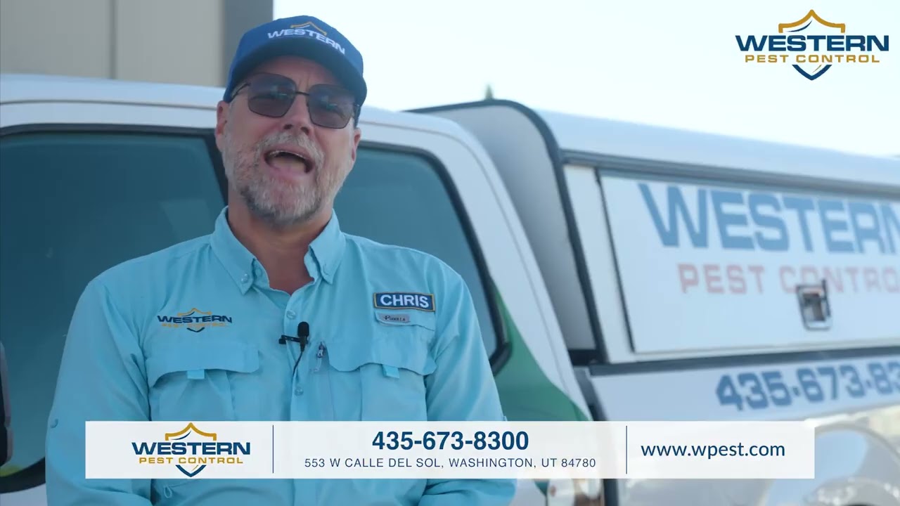 Why Western Pest Control?