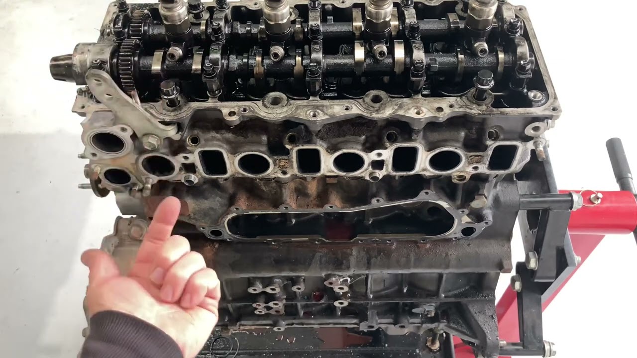 YOU WILL BE SHOCKED WHAT HAPPENS AT TaYoda