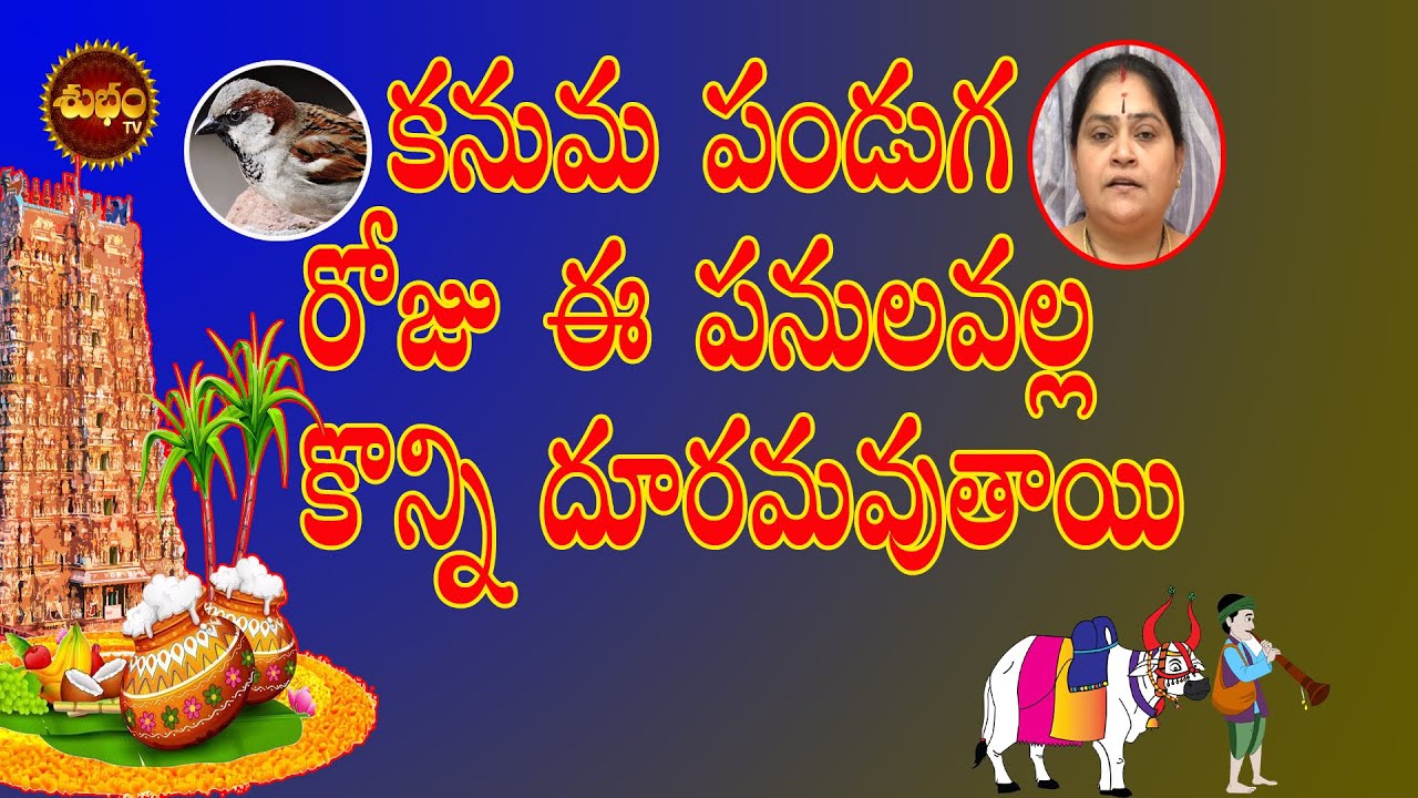 కనుమ రోజు ఈ పనుల వల్ల కొన్ని దోషాలు పోతాయి  | Kanuma Importance | Importance Of Kanuma Festival |